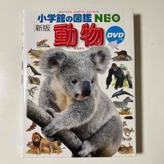 ショウガクカン(小学館)の小学館　図鑑NEO 【新版】動物　DVD付き(絵本/児童書)