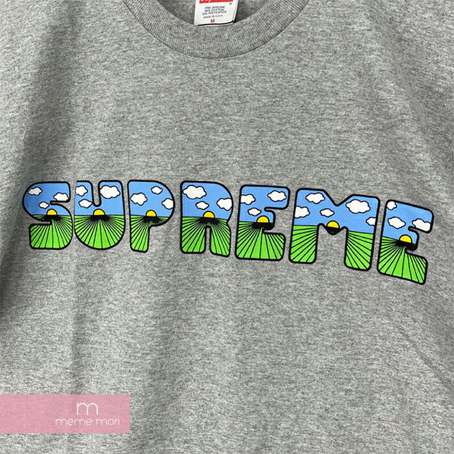 Supreme 2016SS The Shit Tee シュプリーム ザシットTシャツ 半袖カットソー プリント グレー サイズS【210716】【新古品】【me04】 3