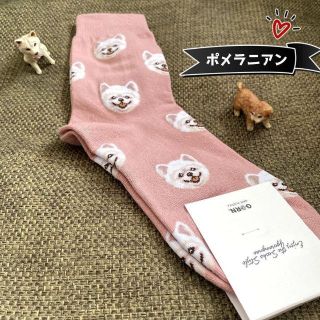 ❤可愛い❤ 新品 いぬ柄 ポメラニアン ソックス 単品 靴下 カラフル(ソックス)