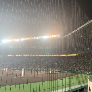 阪神タイガースチケット(野球)