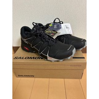 サロモン(SALOMON)ののびすけ様専用　サロモン　ゴアテックス　28㎝(スニーカー)