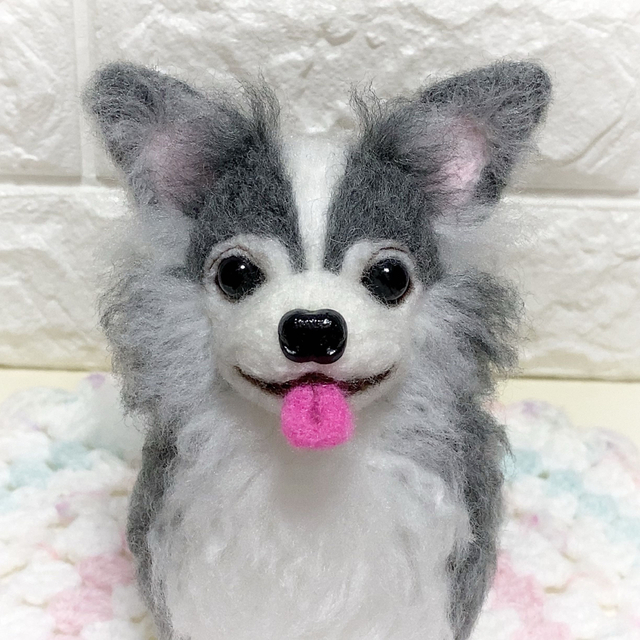 ショコラ331様専用ページ 【予約】 www.bluepractice.co.jp