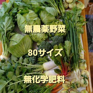 無農薬野菜　80サイズ(野菜)