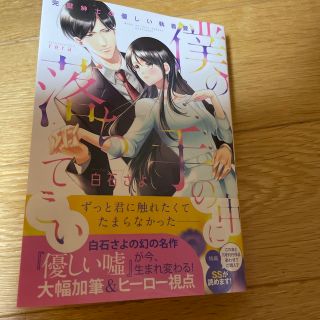 僕の手の中に落ちてこい 完璧紳士の優しい執着愛(その他)