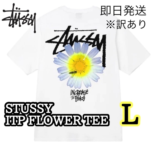 unusedstussy メンズ レディース 半袖 Tシャツ ITP FLOWER L  白