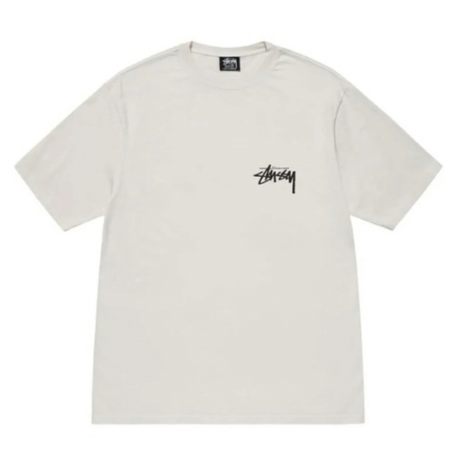 STUSSY SKATE POSSE PIGMENT DYED TEE 半袖