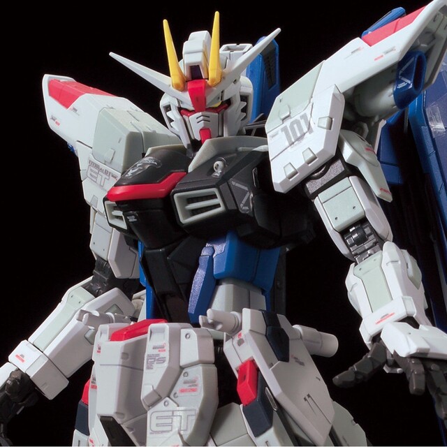 RG & ROBOT魂 ZGMF-X10A フリーダムガンダム Ver.GCP 売れ筋商品 48.0