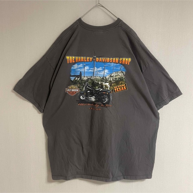《US》ハーレーダビッドソン スカル ドクロ ロゴ Tシャツ メンズ3XL