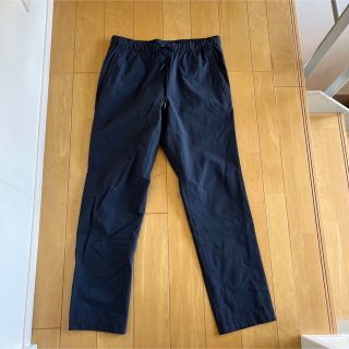 ザノースフェイス(THE NORTH FACE)のApex Relax Pant(その他)