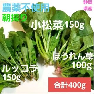 季節の葉物野菜　3種　ルッコラ　ほうれん草　小松菜(野菜)