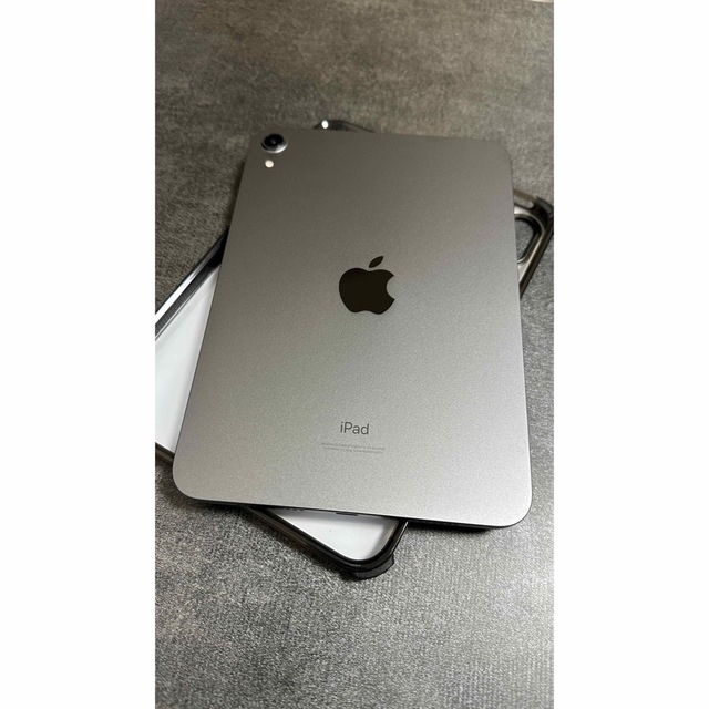 iPad mini6 セルラー256 gray apple care+