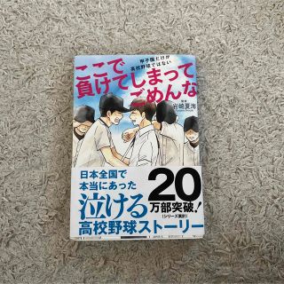 ここで負けてしまってごめんな : 甲子園だけが高校野球ではない(趣味/スポーツ/実用)