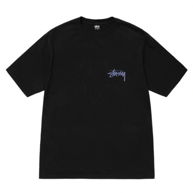 STUSSY SKATE POSSE PIGMENT DYED TEE 半袖 1