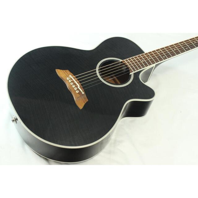 ＴＡＫＡＭＩＮＥ　　ＤＳＰ－１１０