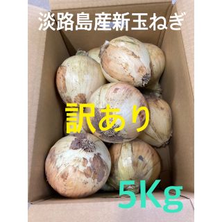 ☆訳あり5Kg☆淡路島新玉ねぎ　たまねぎ　玉葱(野菜)