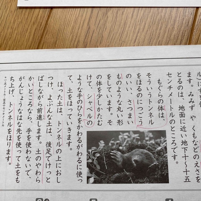 国語 カラーテスト 解答 答えたしかめシート 手引き 小学校3年生 国語 カラーテスト 解答 答えたしかめシート 手引き 小学校3年生