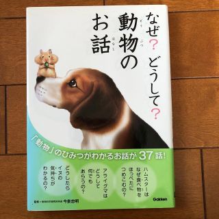 なぜ？どうして？動物のお話(絵本/児童書)