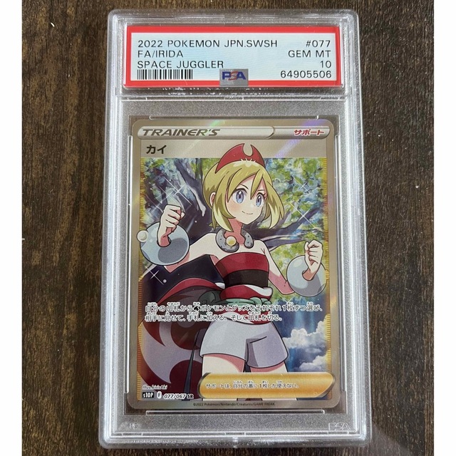 カイPSA10