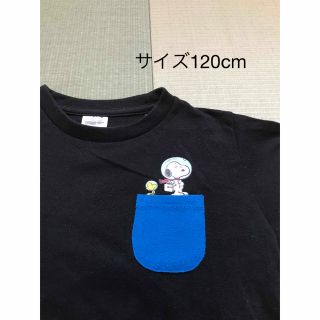 ピーナッツ(PEANUTS)のキッズ　スヌーピー  Tシャツ　ワンポイント　120(Tシャツ/カットソー)