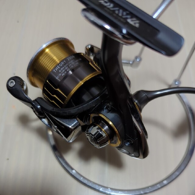 DAIWA THEORY 2506