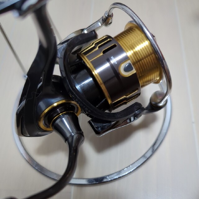 ダイワ セオリー 2506 DAIWA THEORY 日替わり lecoupe-chou.fr