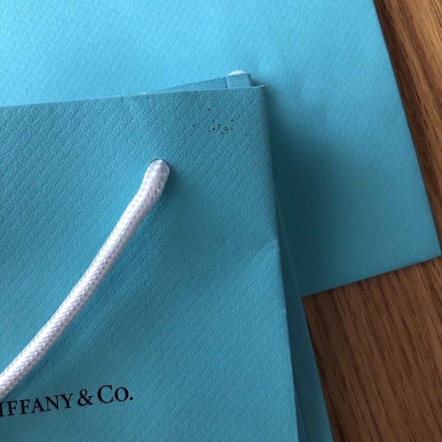 Tiffany & Co. - ティファニー 紙袋 大・小、ミニカタログの通販 Tiffany & Co. - ティファニー 紙袋 大・小、ミニカタログの通販