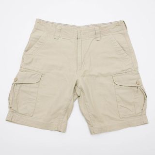 パタゴニア(patagonia)のpatagonia  パタゴニア  ショートパンツ  USサイズ  32(ショートパンツ)