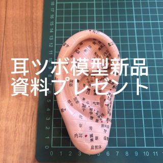 耳ツボ模型＆耳ツボ資料(その他)