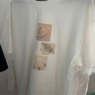 ハニーズ(HONEYS)のHoneysデザイン入りシアーシャツ(シャツ/ブラウス(半袖/袖なし))