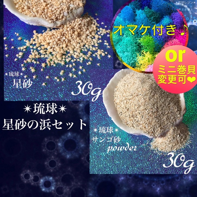 琉球*海のたね　星砂の浜 セット　　星砂　星の砂　サンゴ砂 ハンドメイドの素材/材料(各種パーツ)の商品写真