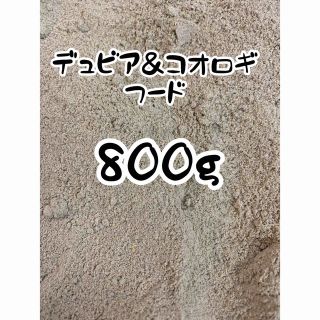 ☆送料無料☆デュビア＆コオロギのごはん☆800g☆(爬虫類/両生類用品)