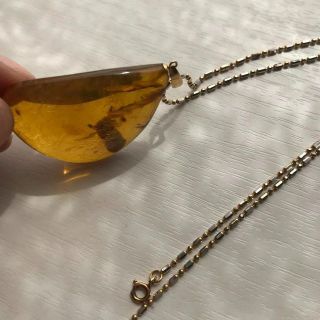 琥珀 アンバーペンダントトップ 虫入り K18 ネックレスチェーン付の