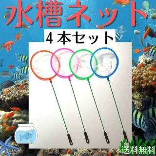 水槽 ネット 4本 丸 密網 金魚 メダカ ごみ取り ミジンコ 赤青ピンク緑(アクアリウム)