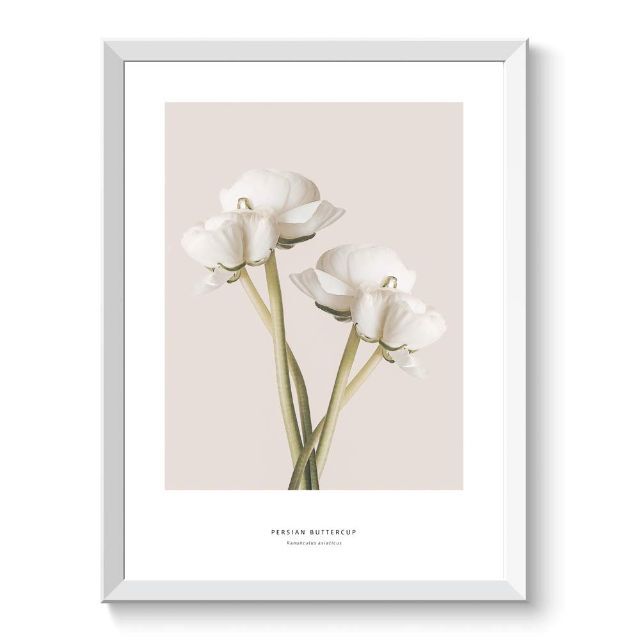 【特価商品】ポスター アートポスター A3 北欧 花 木 植物 ラナンキュラス