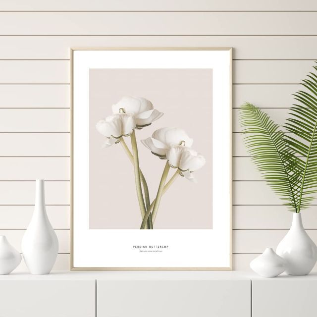 【特価商品】ポスター アートポスター A3 北欧 花 木 植物 ラナンキュラス 4