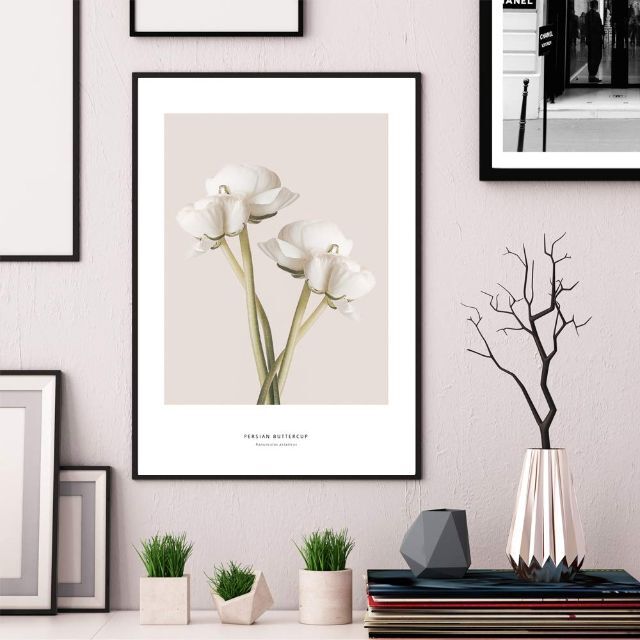 【特価商品】ポスター アートポスター A3 北欧 花 木 植物 ラナンキュラス 5