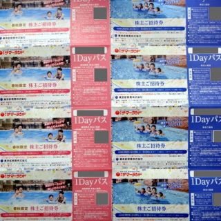 東京サマーランド1Dayパス8枚セット☆東京都競馬☆株主優待(プール)