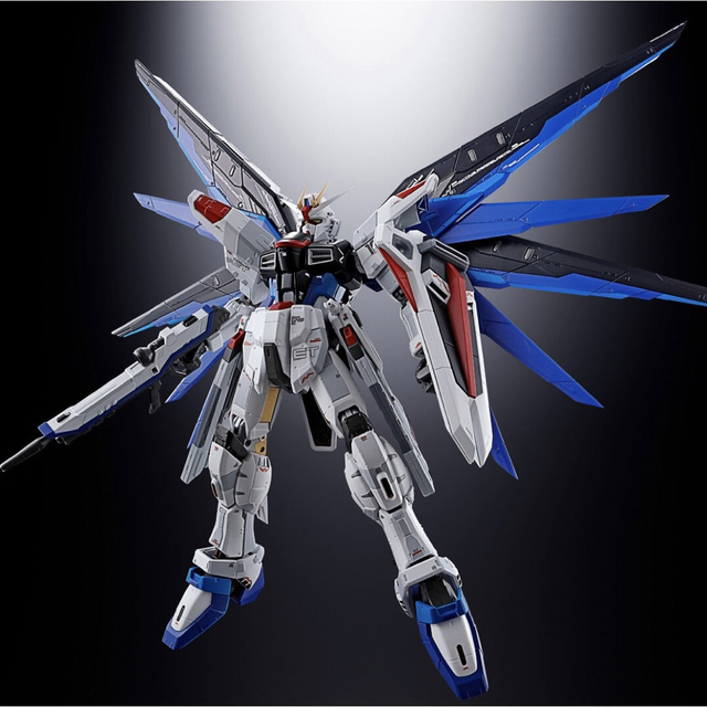 超合金 ZGMF-X10A フリーダムガンダム Ver.GCP 2セット 2