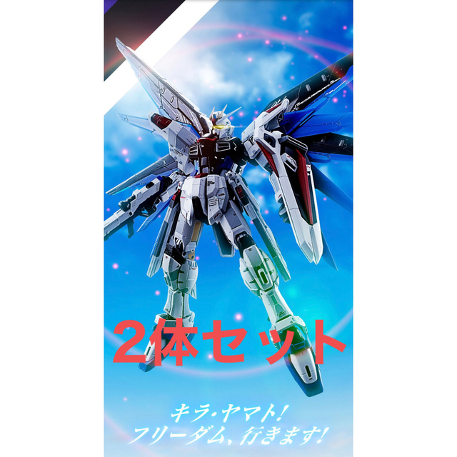 超合金 ZGMF-X10A フリーダムガンダム Ver.GCP 2セット 【定期販売