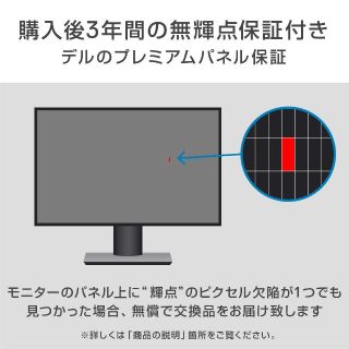 Dell P1917S 19インチ モニター 無輝点交換SXGAIPS非光沢DP