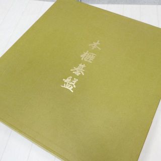 春夏秋冬おさんぽシリーズ E 希少✨ 国産 宮崎県産 伝統工芸士謹製 本