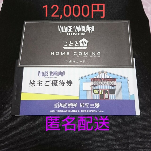 ヴィレッジヴァンガード株主優待12,000円分