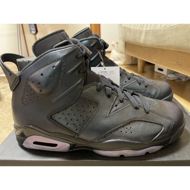 AIR JORDAN6 オールスター"カメレオン" メンズの靴/シューズ(スニーカー)の商品写真