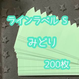 ラインラベル 小 緑 200枚 園芸カラーラベル 多肉植物 エケベリア(プランター)