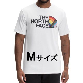 ザノースフェイス(THE NORTH FACE)のM ノースフェイス メンズ レインボー プライド 半袖 Tシャツ 日本未入荷(Tシャツ/カットソー(半袖/袖なし))