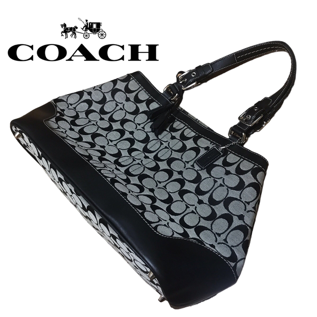 ヒート 美品✨COACH コーチ ワンショルダーバッグ シグネチャー