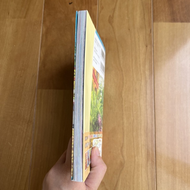 ジブリパーク公式ガイドブック エンタメ/ホビーの本(地図/旅行ガイド)の商品写真