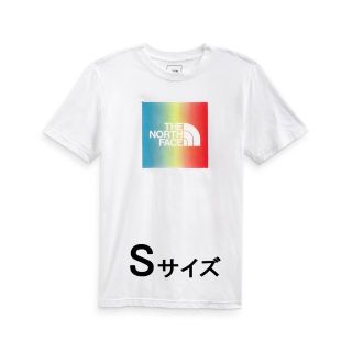 ザノースフェイス(THE NORTH FACE)のSサイズ ノースフェイス メンズ ボックスロゴ 半袖 Tシャツ 日本未入荷(Tシャツ/カットソー(半袖/袖なし))