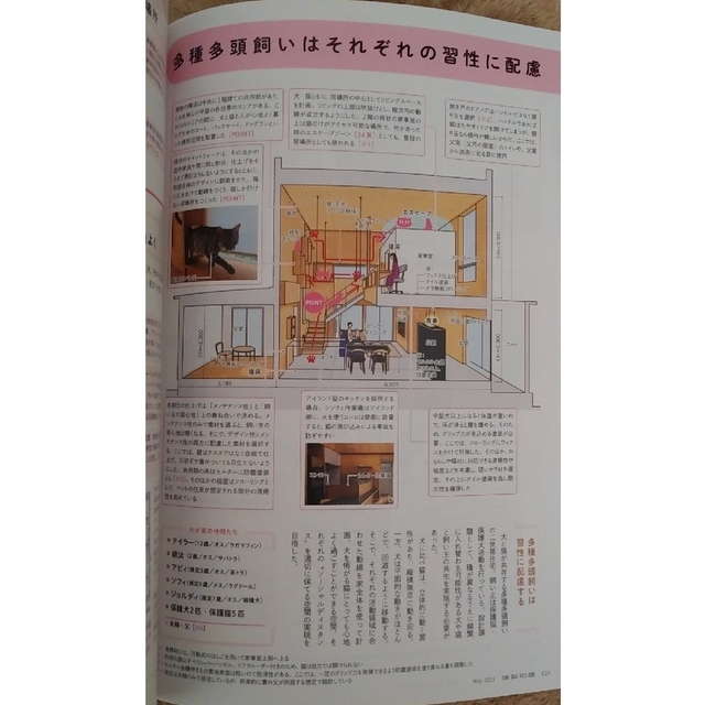 建築知識 2023年 5月号「猫のための間取り」 エンタメ/ホビーの雑誌(専門誌)の商品写真