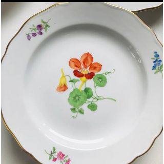 MEISSEN - マイセン ベーシックフラワー プレート6枚セットの通販 by
